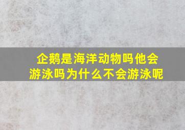 企鹅是海洋动物吗他会游泳吗为什么不会游泳呢