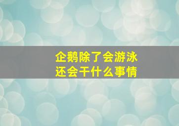 企鹅除了会游泳还会干什么事情