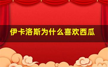 伊卡洛斯为什么喜欢西瓜