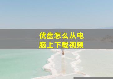 优盘怎么从电脑上下载视频