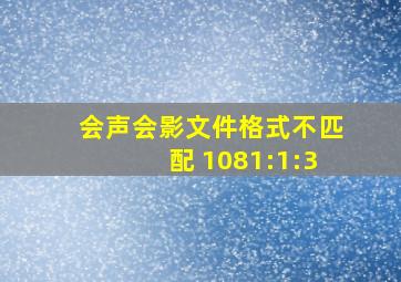 会声会影文件格式不匹配 1081:1:3