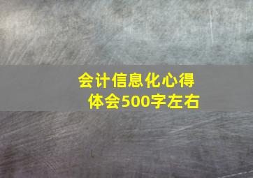 会计信息化心得体会500字左右