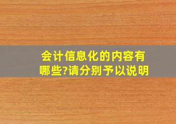 会计信息化的内容有哪些?请分别予以说明