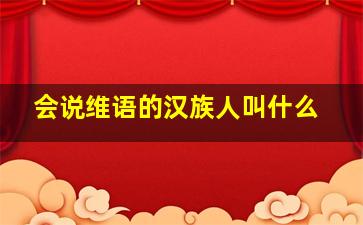 会说维语的汉族人叫什么