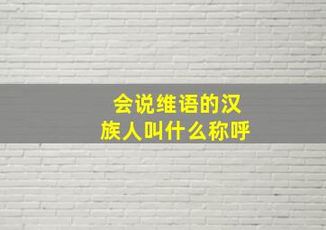 会说维语的汉族人叫什么称呼