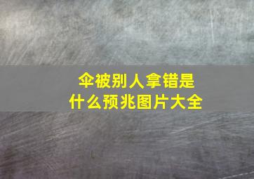 伞被别人拿错是什么预兆图片大全