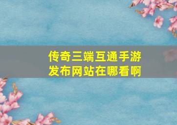 传奇三端互通手游发布网站在哪看啊