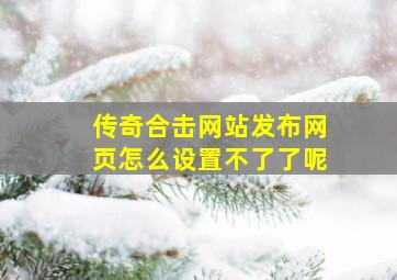 传奇合击网站发布网页怎么设置不了了呢