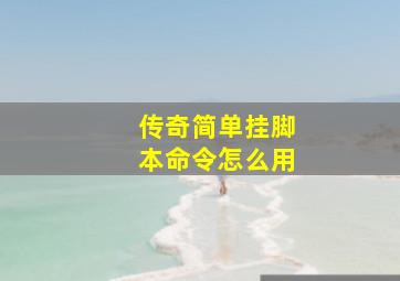 传奇简单挂脚本命令怎么用