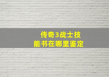 传奇3战士技能书在哪里鉴定