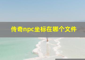 传奇npc坐标在哪个文件