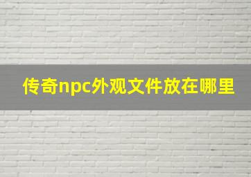 传奇npc外观文件放在哪里