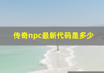 传奇npc最新代码是多少