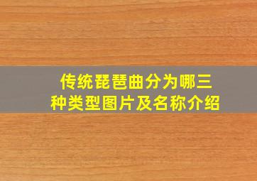 传统琵琶曲分为哪三种类型图片及名称介绍