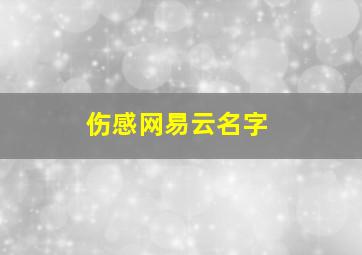 伤感网易云名字