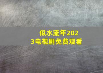 似水流年2023电视剧免费观看