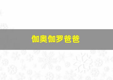 伽奥伽罗爸爸