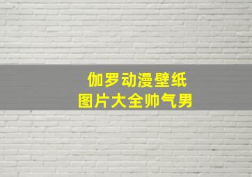 伽罗动漫壁纸图片大全帅气男