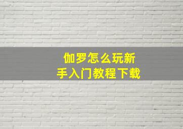 伽罗怎么玩新手入门教程下载