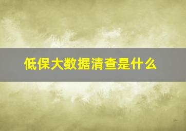 低保大数据清查是什么