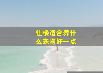 住楼适合养什么宠物好一点