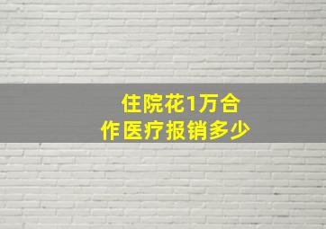 住院花1万合作医疗报销多少