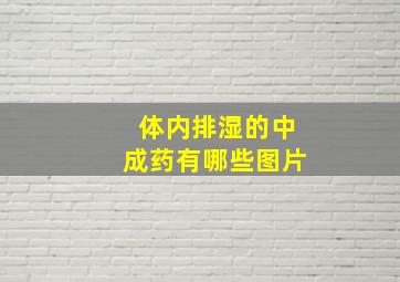 体内排湿的中成药有哪些图片