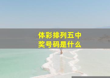 体彩排列五中奖号码是什么