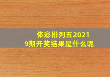 体彩排列五20219期开奖结果是什么呢