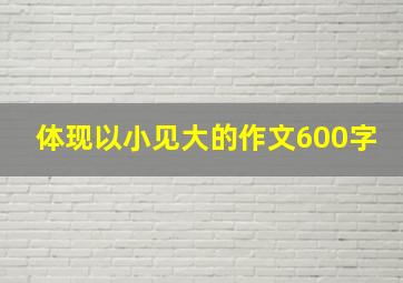 体现以小见大的作文600字