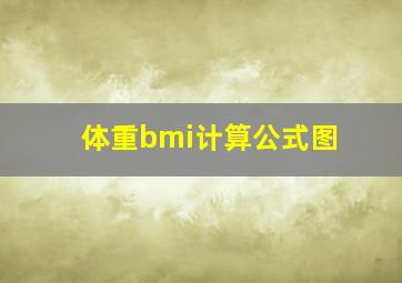 体重bmi计算公式图