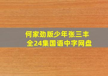 何家劲版少年张三丰全24集国语中字网盘