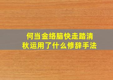 何当金络脑快走踏清秋运用了什么修辞手法