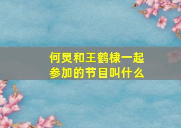 何炅和王鹤棣一起参加的节目叫什么