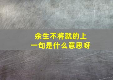 余生不将就的上一句是什么意思呀