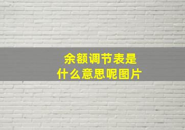 余额调节表是什么意思呢图片