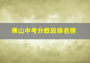 佛山中考分数段排名榜