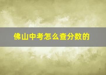 佛山中考怎么查分数的