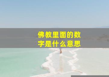 佛教里面的数字是什么意思