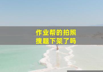 作业帮的拍照搜题下架了吗