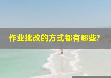 作业批改的方式都有哪些?