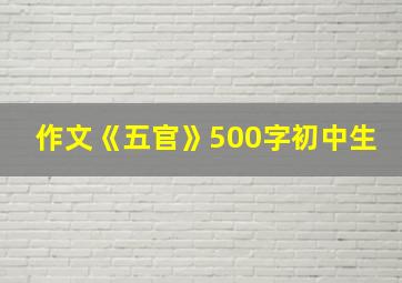 作文《五官》500字初中生