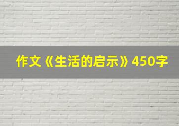 作文《生活的启示》450字