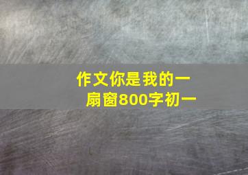 作文你是我的一扇窗800字初一