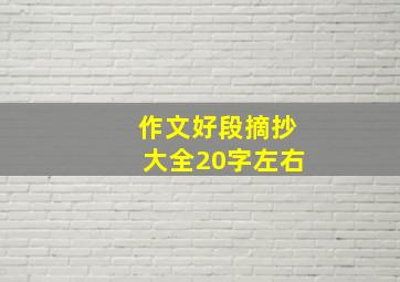 作文好段摘抄大全20字左右