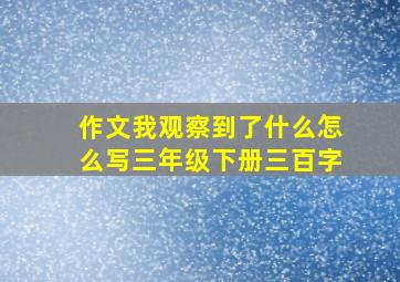 作文我观察到了什么怎么写三年级下册三百字