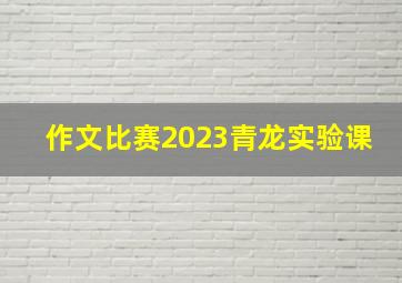 作文比赛2023青龙实验课