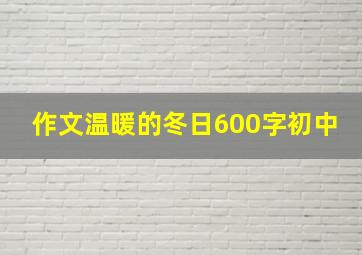 作文温暖的冬日600字初中