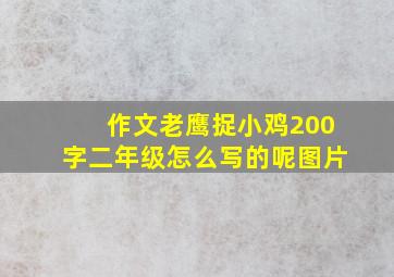 作文老鹰捉小鸡200字二年级怎么写的呢图片