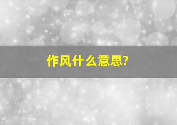 作风什么意思?